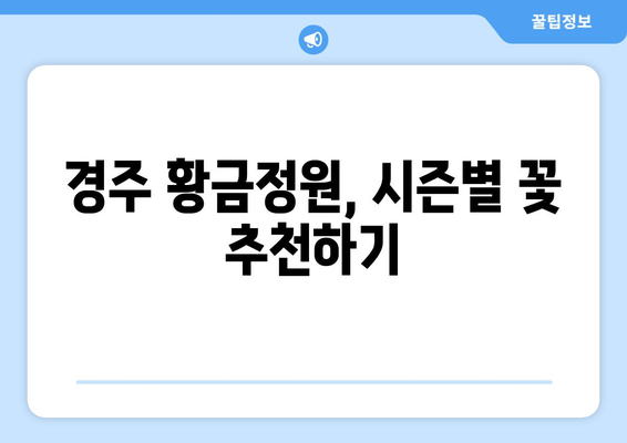 경주 황금정원나들이 완벽 가이드| 숨겨진 명소와 팁 공개! | 여행, 경주, 꽃구경"
