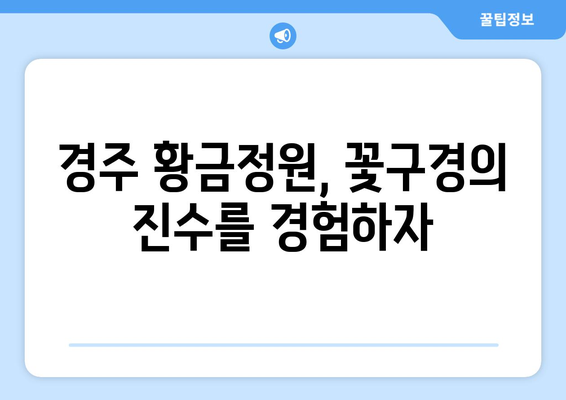 경주 황금정원나들이 완벽 가이드| 숨겨진 명소와 팁 공개! | 여행, 경주, 꽃구경"