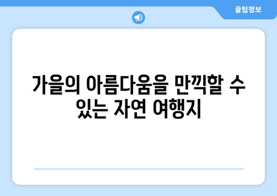 가을 나들이를 위한 완벽한 여행지 10곳 | 여행, 추천, 가족 나들이