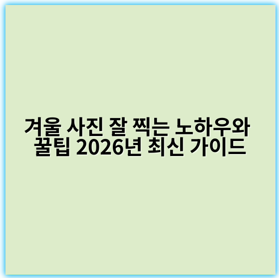 겨울 사진 잘 찍는 노하우와 꿀팁 2026년 최신 가이드 - 핵심 키워드: 조명